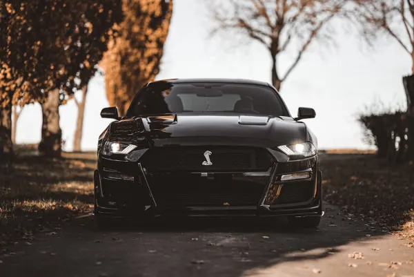 OG Kazino Android/iOS Lietotne